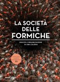 La società delle formiche La società delle formiche