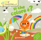 Di che colore è? Di che colore è?