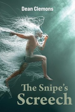 Cover The Snipe's Screech