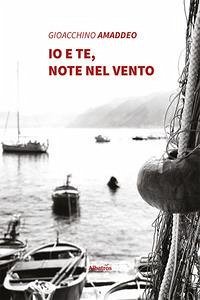 Cover Io e te, note nel vento