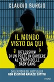 Il mondo visto da qui. Riflessioni di un prete in carcere al tempo delle baby gang