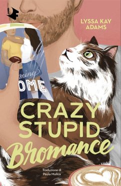 Cover Crazy stupid bromance