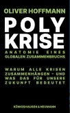 Polykrise (eBook, PDF) Polykrise (eBook, PDF)