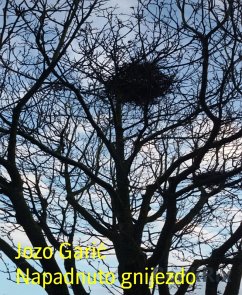 Napadnuto gnijezdo (eBook, ePUB) - Garic, Jozo