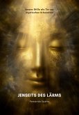 Jenseits des Lärms (eBook, ePUB)