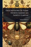 Descriptions Of Some North American Sawfly Larvae