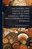 The Lateral Line System Of Sense Organs In Some American Amphibia, And Comparison With Dipnoans