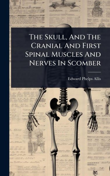 The Skull, And The Cranial And First Spinal Muscles And Nerves In Scomber The Skull, And The Cranial And First Spinal Muscles And Nerves In Scomber