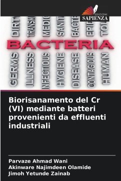 Cover Biorisanamento del Cr (VI) mediante batteri provenienti da effluenti industriali
