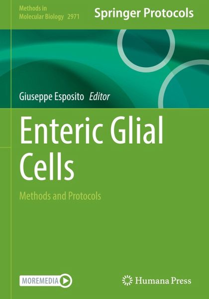 Enteric Glial Cells