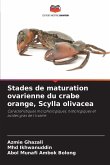 Stades de maturation ovarienne du crabe orange, Scylla olivacea Stades de maturation ovarienne du crabe orange, Scylla olivacea