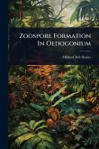 Zoospore Formation In Oedogonium Zoospore Formation In Oedogonium