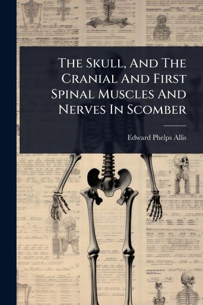 The Skull, And The Cranial And First Spinal Muscles And Nerves In Scomber