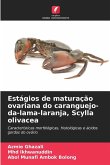 Estágios de maturação ovariana do caranguejo-da-lama-laranja, Scylla olivacea