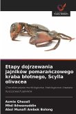 Etapy dojrzewania jajników pomarańczowego kraba blotnego, Scylla olivacea Etapy dojrzewania jajników pomarańczowego kraba blotnego, Scylla olivacea
