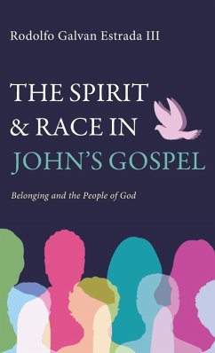 Cover The Spirit and Race in John's Gospel