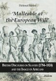 'Malleable at the European Will': British Discourse on Slavery (1784-1824) and the Image of Africans (eBook, ePUB)