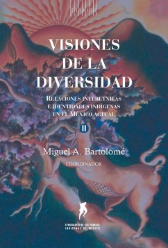 Cover Visiones de la diversidad (eBook, ePUB)