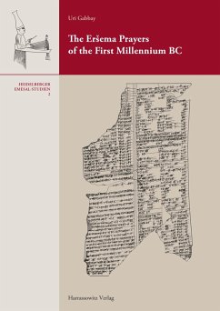 The ErSema Prayers of the First Millennium BC (eBook, PDF) Cover The ErSema Prayers of the First Millennium BC (eBook, PDF)