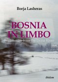 Bosnia in Limbo (eBook, ePUB)