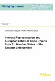 Interest Representation and Europeanization of Trade Unions from EU Member States of the Eastern Enlargement (eBook, ePUB)