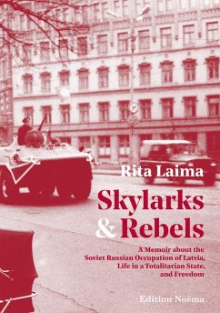 Cover Skylarks and Rebels (eBook, ePUB)