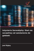 Inżynieria Serendipity Inżynieria Serendipity