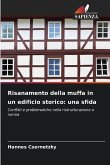 Risanamento della muffa in un edificio storico: una sfida