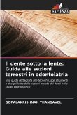 Il dente sotto la lente: Guida alle sezioni terrestri in odontoiatria