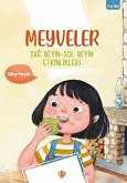 Meyveler Sag Beyin Sol Beyin Etkinlikleri Meyveler Sag Beyin Sol Beyin Etkinlikleri