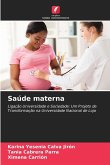 Saúde materna Saúde materna