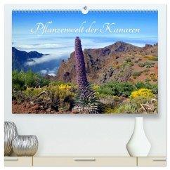 Pflanzenwelt Kanaren (hochwertiger Premium Wandkalender 2026 DIN A2 quer), Kunstdruck in Hochglanz