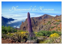 Pflanzenwelt Kanaren (Wandkalender 2026 DIN A3 quer), CALVENDO Monatskalender