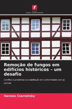 Cover Remoção de fungos em edifícios históricos - um desafio