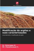 Modificação de argilas e suas caracterizações Modificação de argilas e suas caracterizações