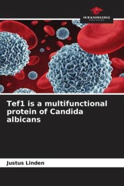 Cover Tef1 is a multifunctional protein of Candida albicans