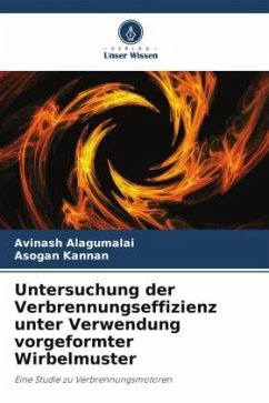 Cover Untersuchung der Verbrennungseffizienz unter Verwendung vorgeformter Wirbelmuster