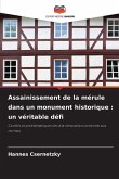 Assainissement de la mérule dans un monument historique : un véritable défi Assainissement de la mérule dans un monument historique : un véritable défi