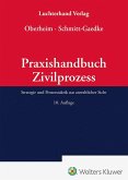 Praxishandbuch Zivilprozess Praxishandbuch Zivilprozess