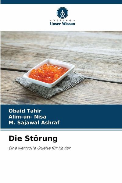 Die Störung Die Störung