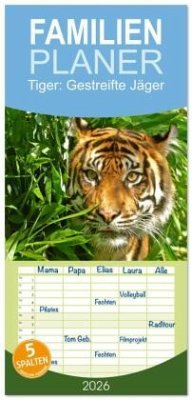 Cover Familienplaner 2026 - Tiger: Gestreifte Jäger mit 5 Spalten (Wandkalender, 21 x 45 cm) CALVENDO
