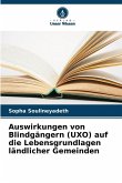 Auswirkungen von Blindgängern (UXO) auf die Lebensgrundlagen ländlicher Gemeinden