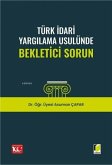 Türk Idari Yargilama Usulünde Bekletici Sorun