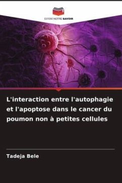 Cover L'interaction entre l'autophagie et l'apoptose dans le cancer du poumon non à petites cellules