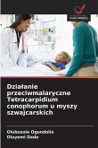 Dzia¿anie przeciwmalaryczne Tetracarpidium conophorum u myszy szwajcarskich Dzia¿anie przeciwmalaryczne Tetracarpidium conophorum u myszy szwajcarskich