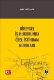 Bireysel Is Hukukunda Özel Istihdam Bürolari Bireysel Is Hukukunda Özel Istihdam Bürolari