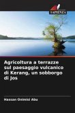 Agricoltura a terrazze sul paesaggio vulcanico di Kerang, un sobborgo di Jos Agricoltura a terrazze sul paesaggio vulcanico di Kerang, un sobborgo di Jos