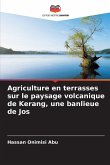 Agriculture en terrasses sur le paysage volcanique de Kerang, une banlieue de Jos