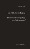 Die Mullahs von Brüssel & Die hundertzwanzig Tage von Salmannsdorf. (eBook, ePUB) Die Mullahs von Brüssel & Die hundertzwanzig Tage von Salmannsdorf. (eBook, ePUB)