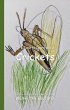 It's Time to Learn about Crickets... - Bild 1